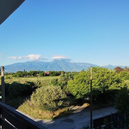 Villa Olympia Paralía 외부 사진